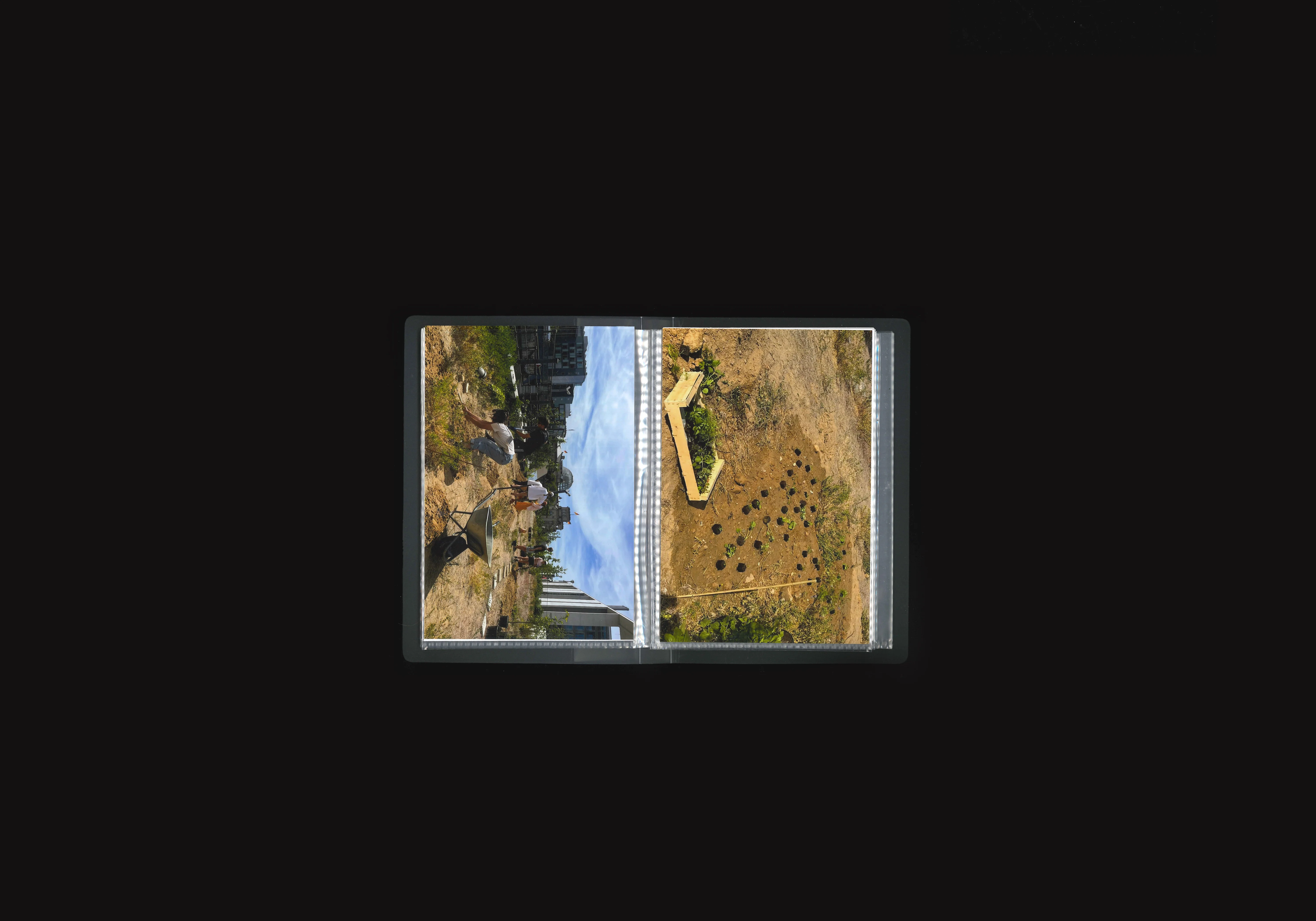 Sandgarden, image 2